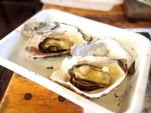 丸善水産