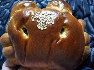 カワイパン