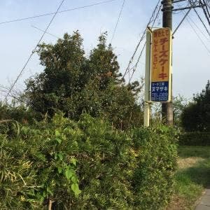 ヌマザキ