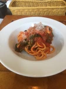 il mio campo