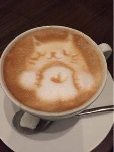 nagicafe+