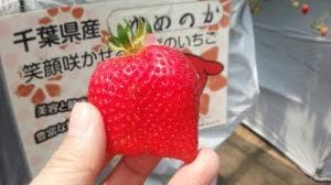 小山ファーム