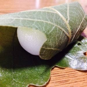 金沢 うら田 めいてつエムザ