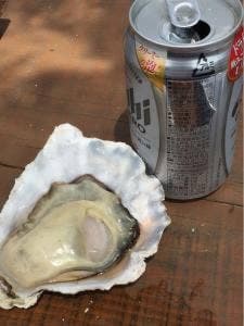 カキハウス 内海湾