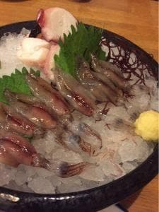 おかめざくら