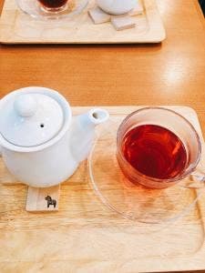 Organic cafe kotokoto