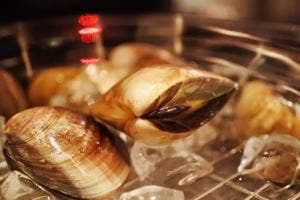 ビストロボナペティ