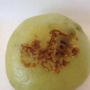 夢咲き茶屋
