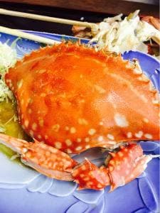 そば幸国見店