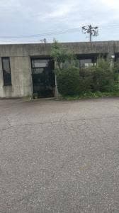 グラスオニオン