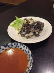 きぬ川