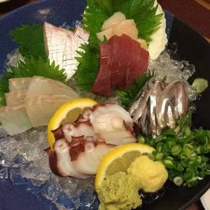 居酒屋 たつの子