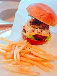 コシキテラス