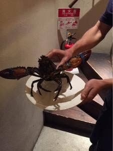 ディグロットタマザワ