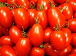 阿蘇ミルクファーム 阿蘇ファームランド