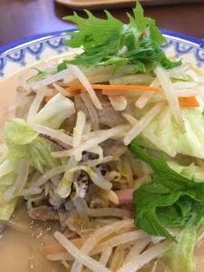 ちゃんぽん菜の里 Pasar羽生店