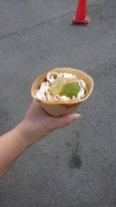 LACTUCA
