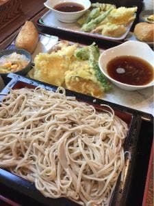藤の家