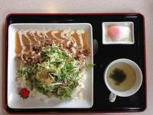 川登サービスエリア下り線 フードエリア がばい軒