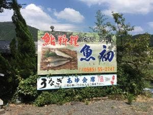 魚初
