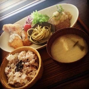 さわやどり
