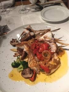 trattoria vivo