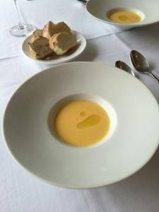 ザ フォレスト ハウス