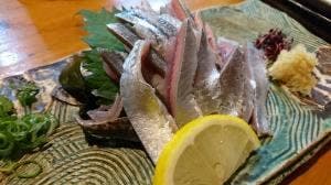 ⺠芸炉ばた⾺籠