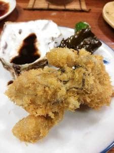 加佐井