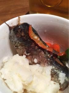 だるまだるま