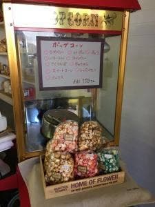 ハニーポット