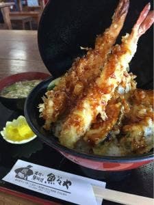 寿司と魚料理 魚々や