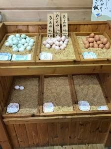 長生たまご館 府中店
