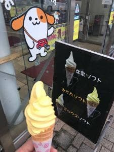 日本坂パーキングエリア