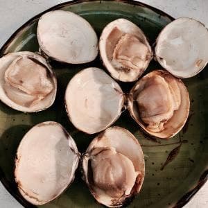 焼貝 海風