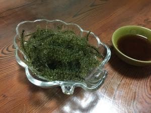 海鮮料理専門店 わかくさ