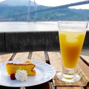 カフェテラス 菜のはな
