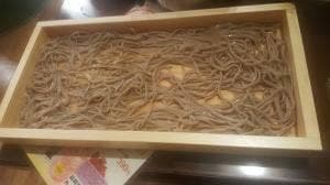 博多串焼卸 ウマカーよかばい 名駅店