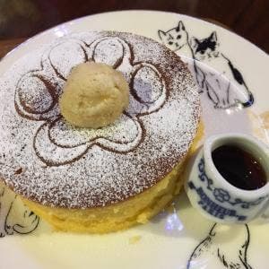猫カフェ 猫音~にゃおん~