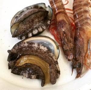 玄海みなとん里