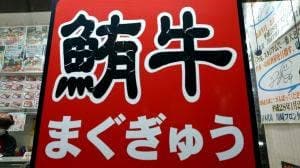 鮪牛