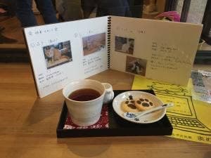 くつろぎ古民家 まめ猫