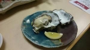 ひよこ宿