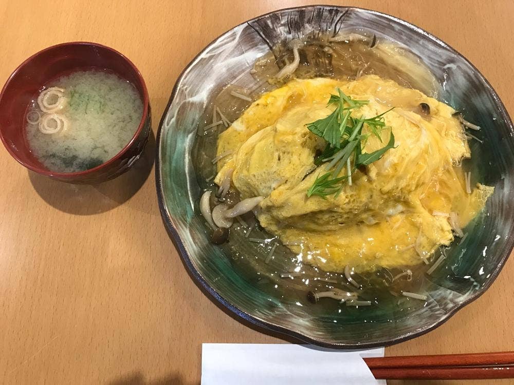 ぶなの木