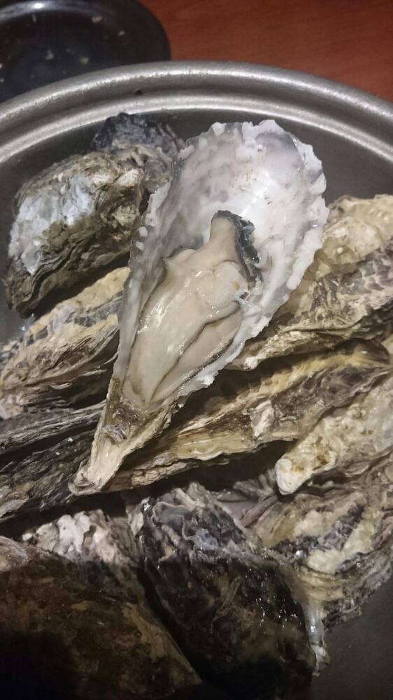 蔵之助 豊橋店