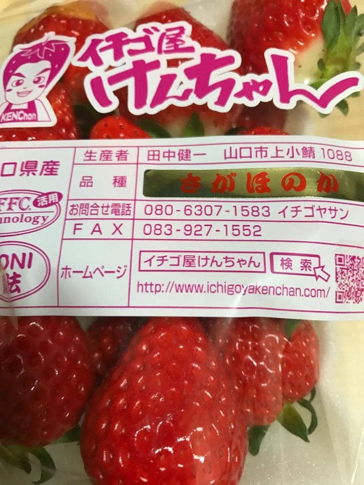 イチゴ屋けんちゃん