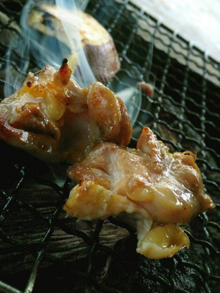 日向地どり 野乃家