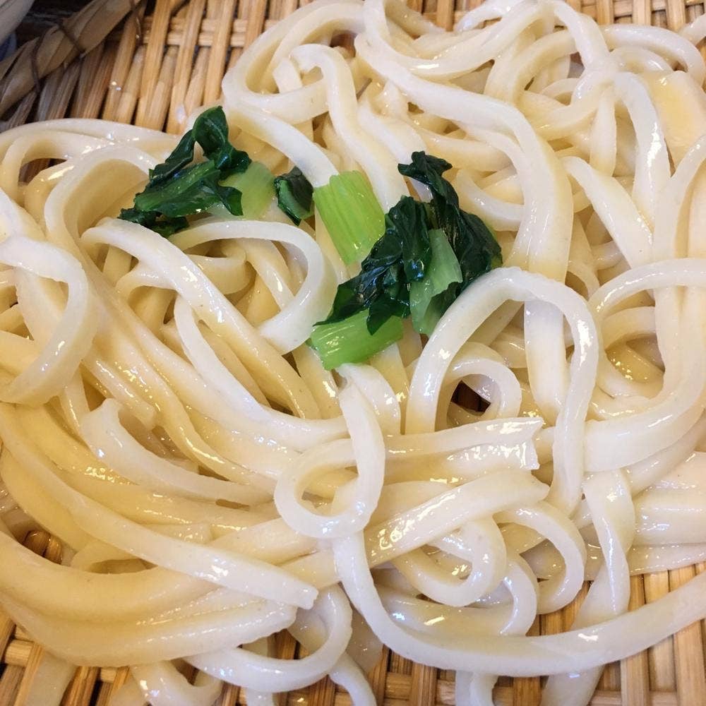 手打ちうどんふじえ