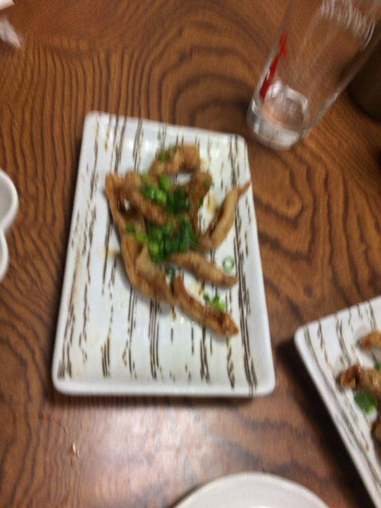 鳥正