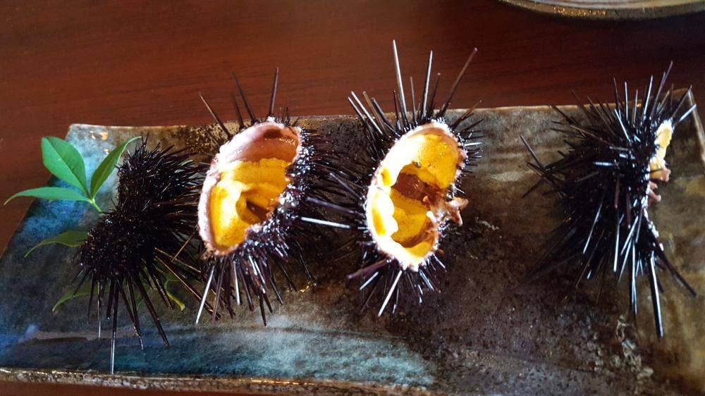 海女ちゃん食堂 乙姫屋